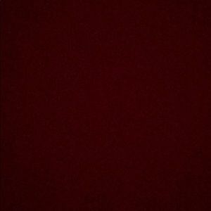 Meet your Posher, Shelby